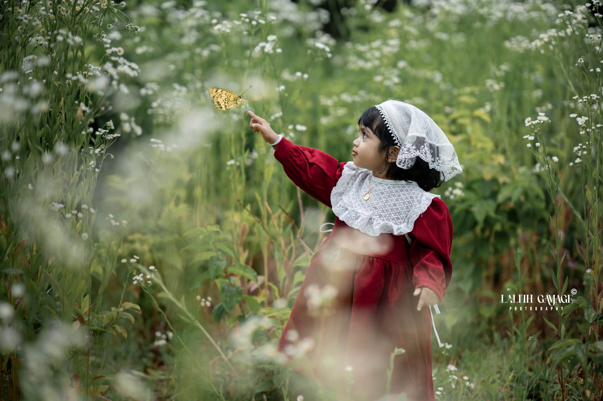 Baby photography
