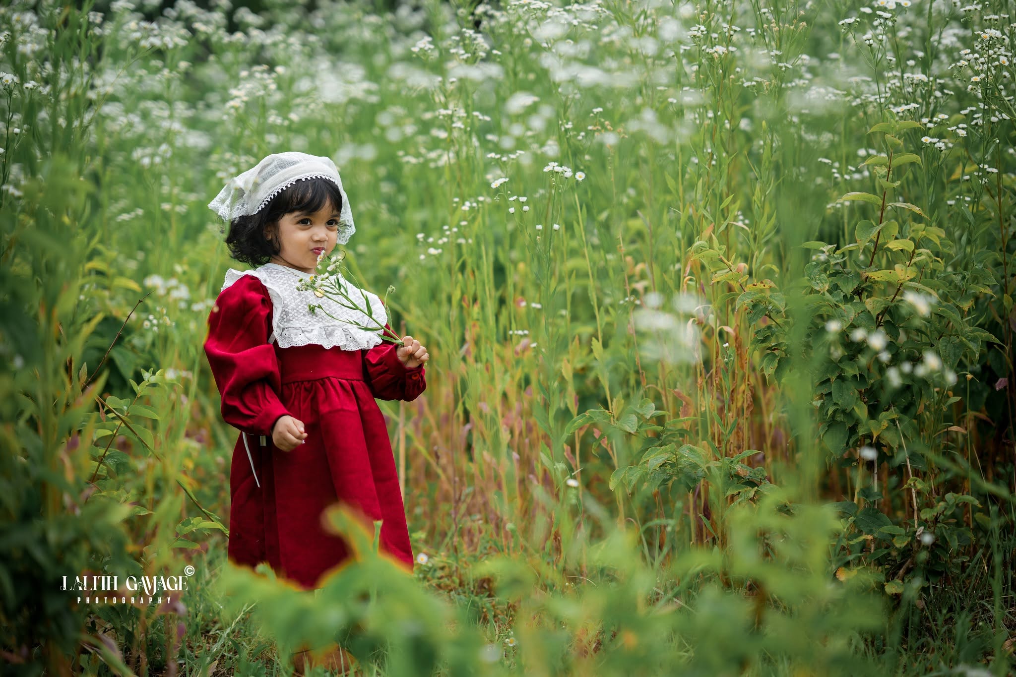 Baby Shoot 01 photograph 13