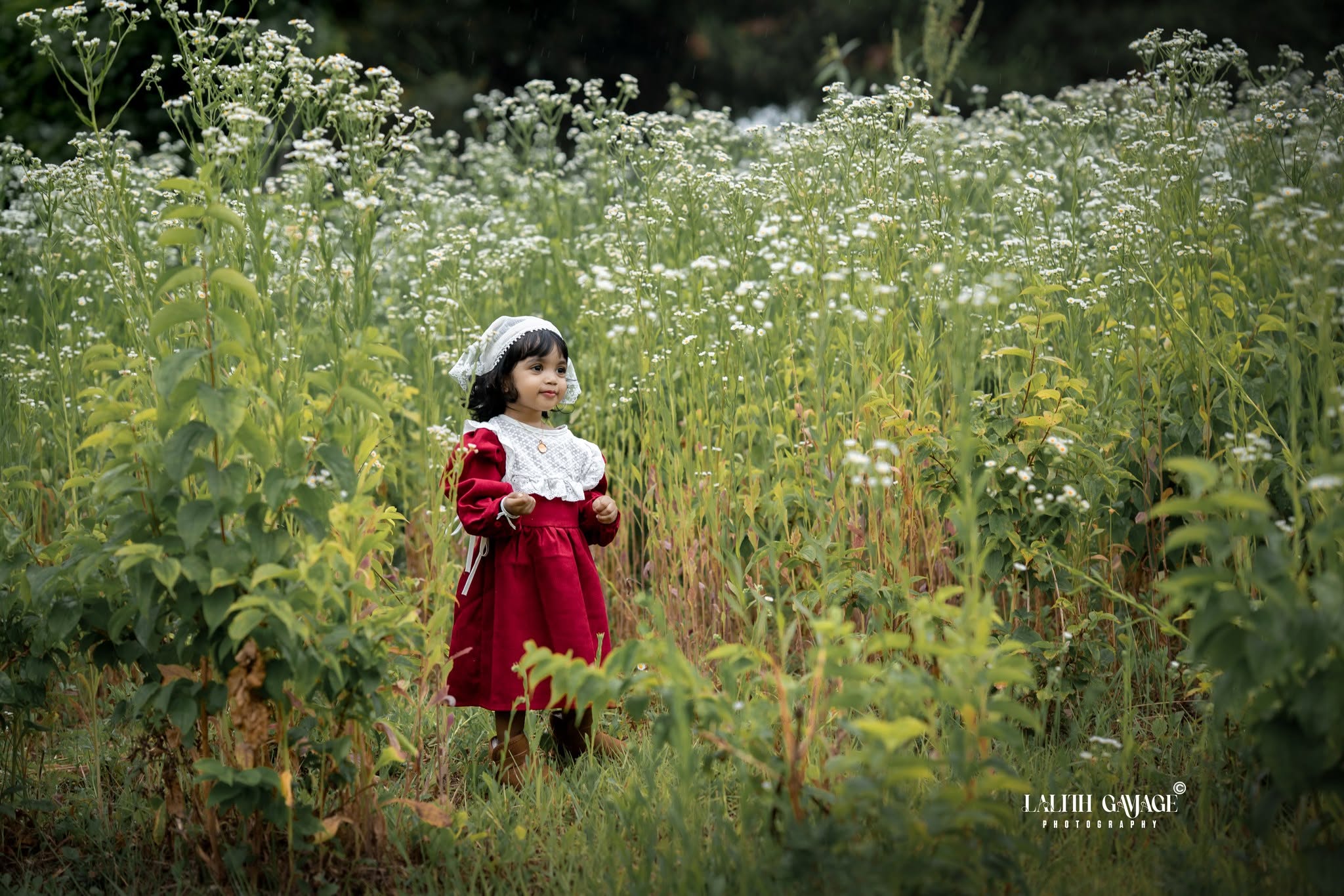 Baby Shoot 01 photograph 14
