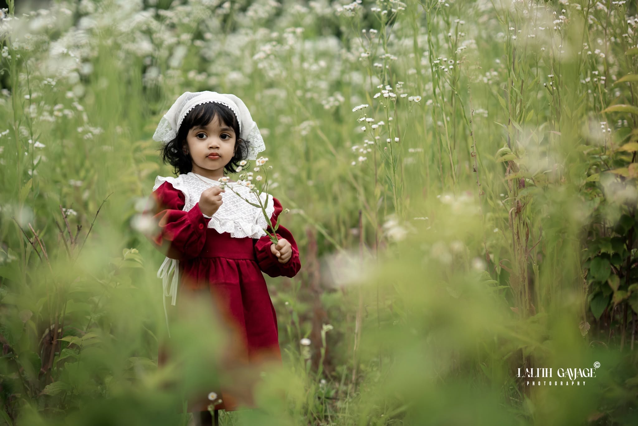 Baby Shoot 01 photograph 3